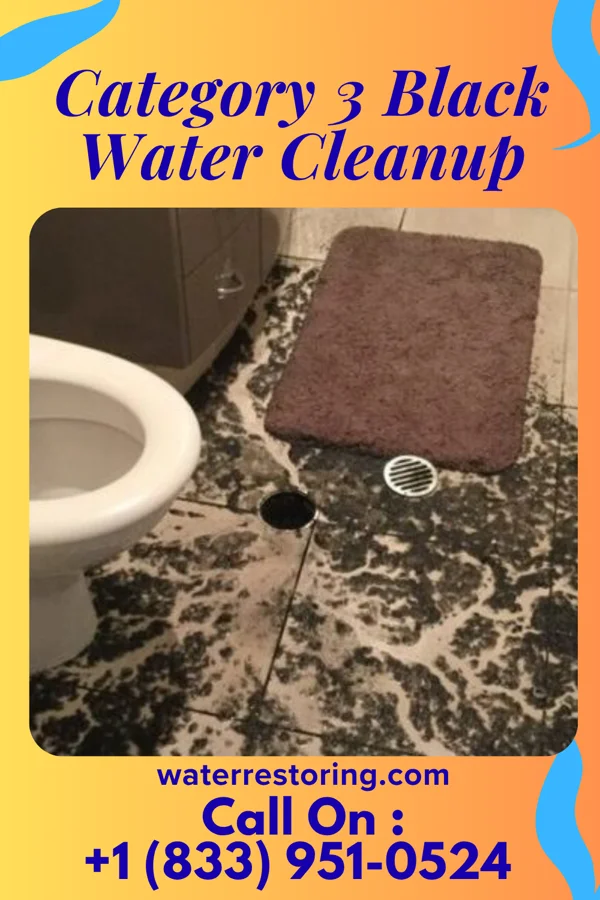 Category 3 Black Water Cleanup in South Haven, KS